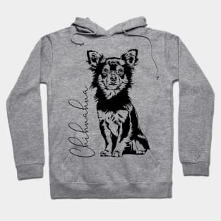 Chihuahua dog portrait Hoodie